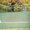 【壁打ちテニス】竹早公園